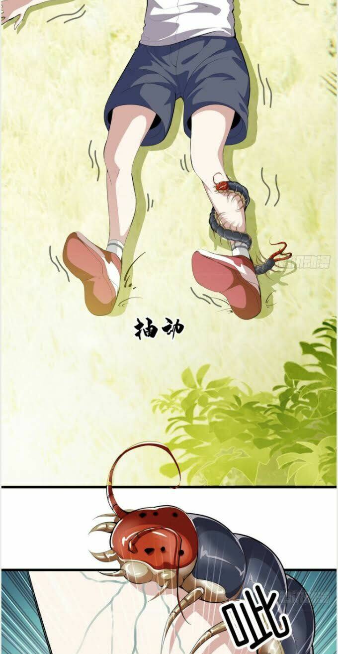 Đô Thị Chí Tôn: Chapter 84