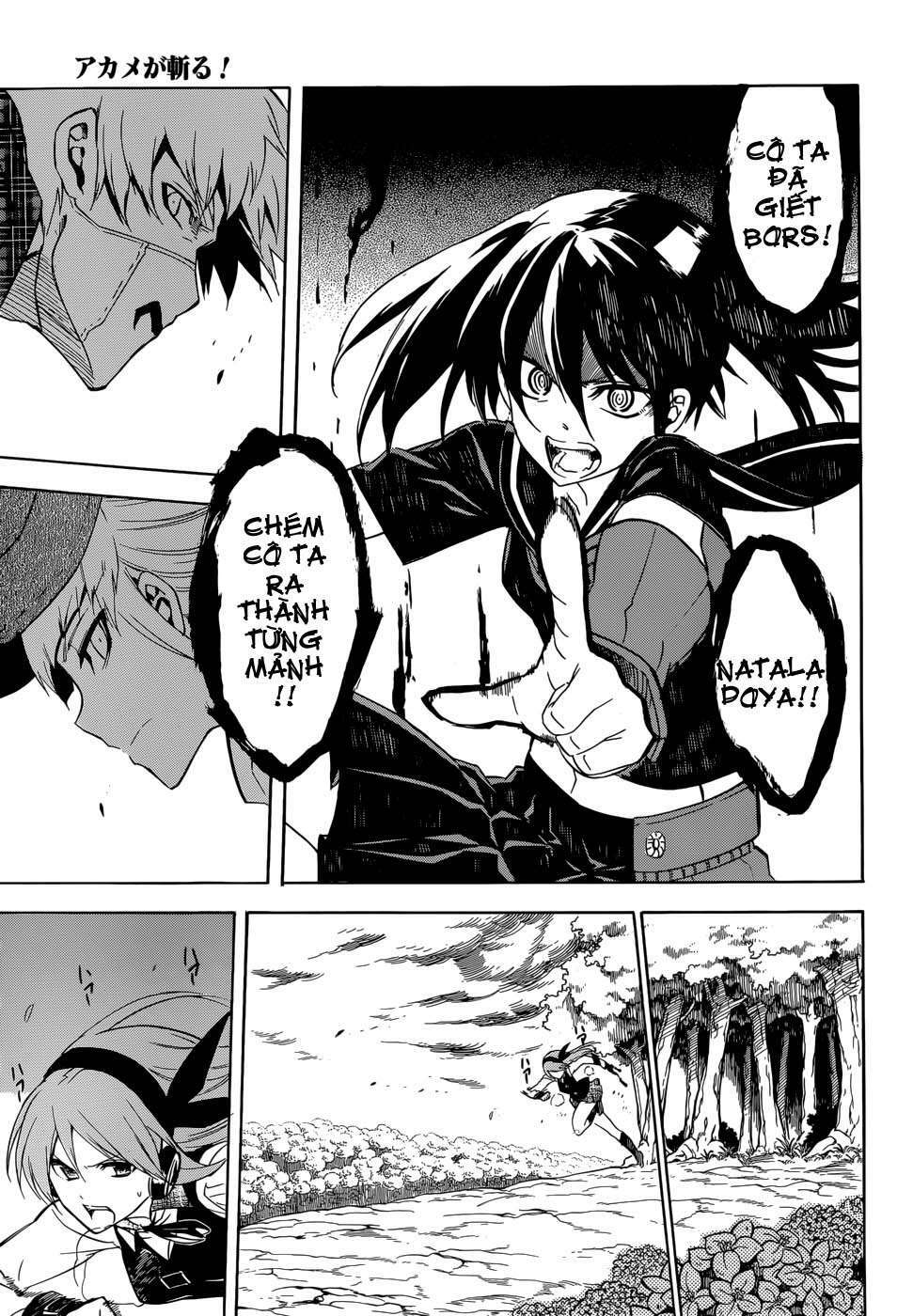 Akame Ga Kiru: Chapter 33