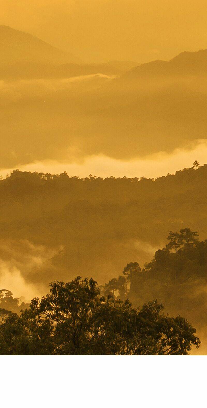 Nửa Đêm Ở Poppy Land: Chapter 58