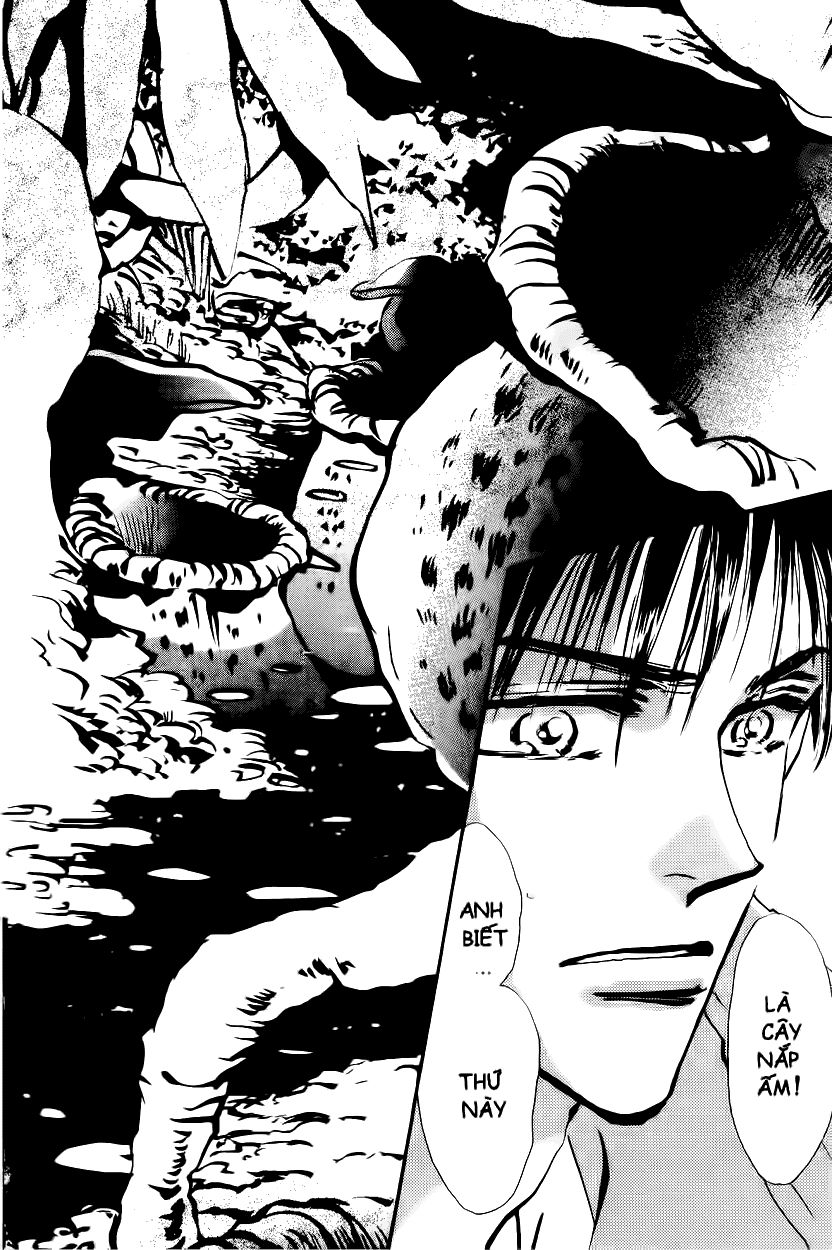 Mầm Sống: Chapter 4