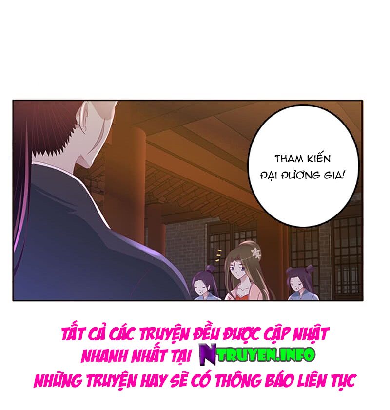 Thông Linh Phi: Chapter 331
