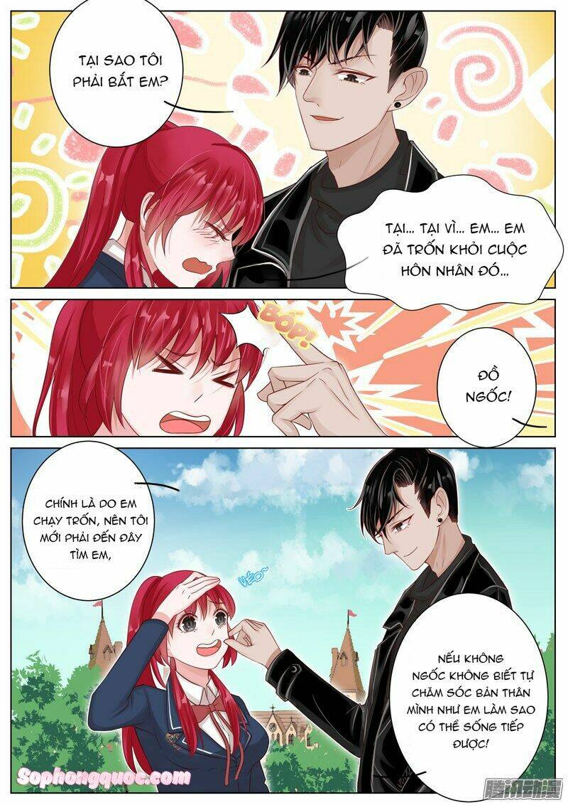 Vương Bài Giáo Thảo: Chapter 11