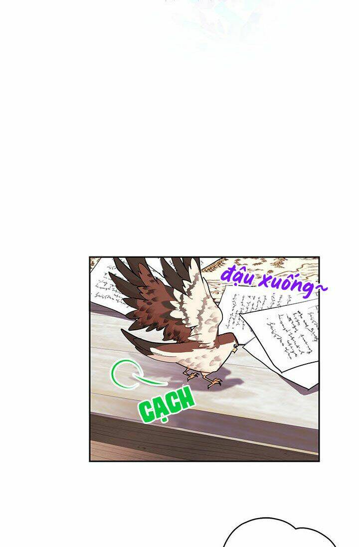 Công Chúa Của Loài Chim: Chapter 8