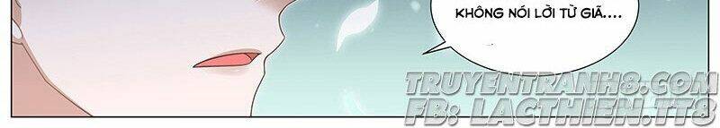 Vương Bài Giáo Thảo: Chapter 145