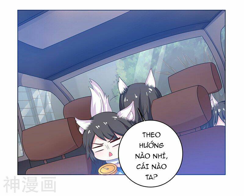 Quy Luật Năm Bản Mệnh Của Hồ Ly: Chapter 5