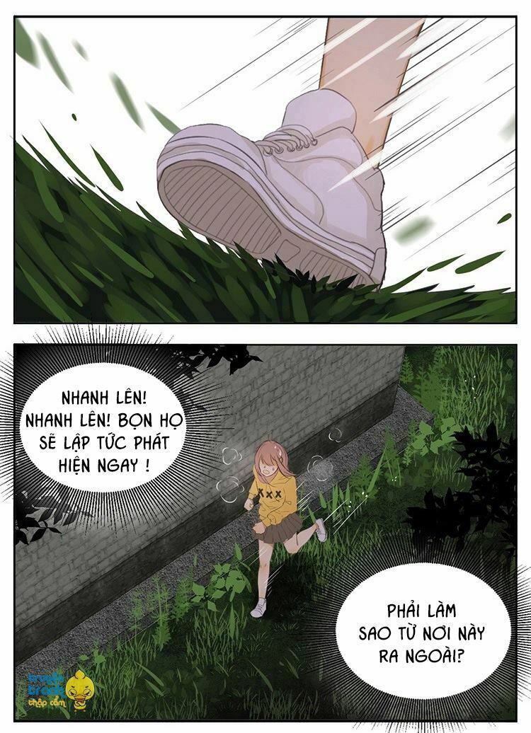 Cứu mạng ! Loài mèo thống trị thế giới rồi !: Chapter 18