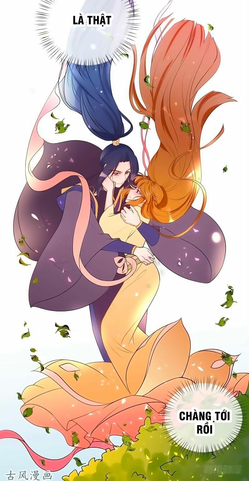 Thiên Tài Tiểu Độc Phi: Chapter 52