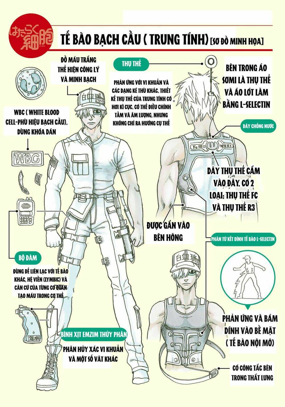 Hataraku Saibou!: Chapter 14