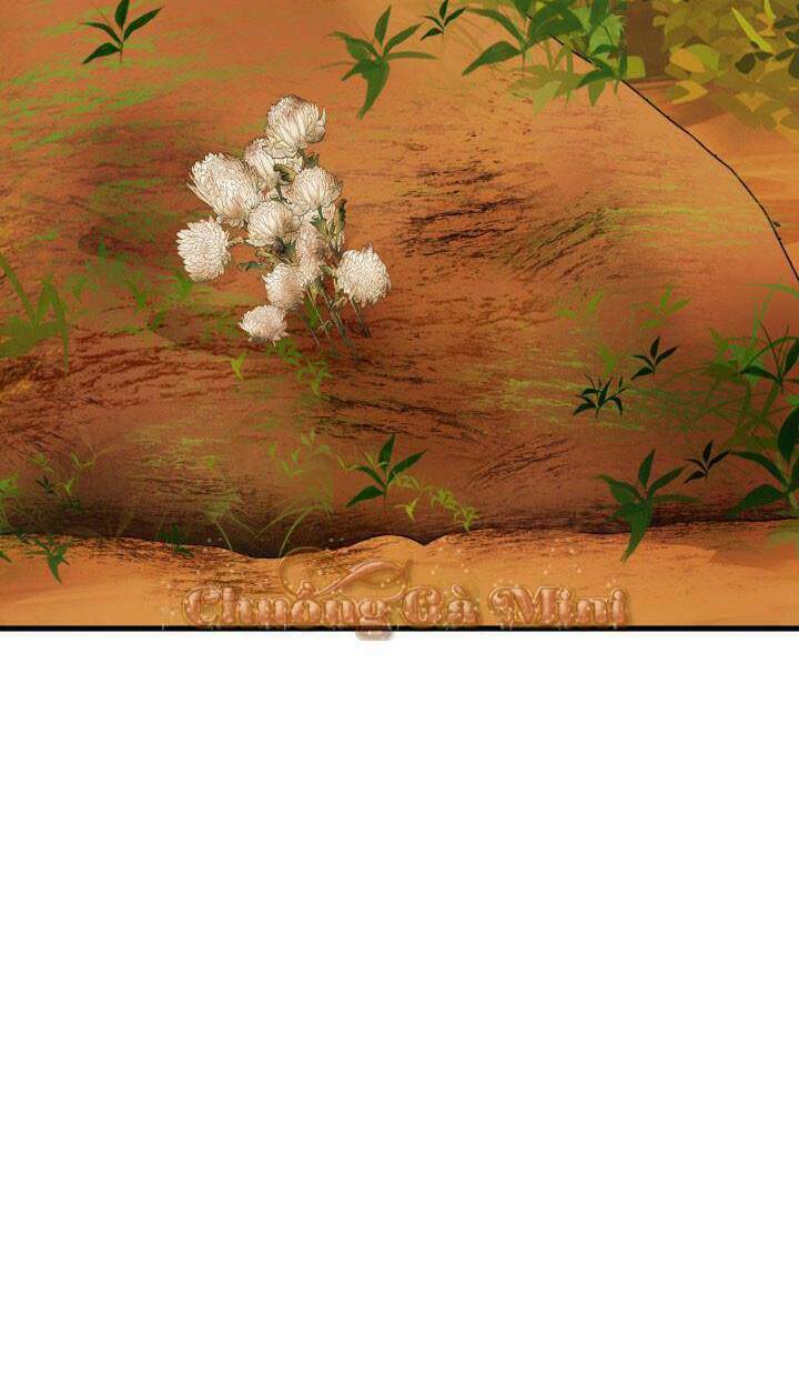 Cô Dâu Của Sói Đen: Chapter 17