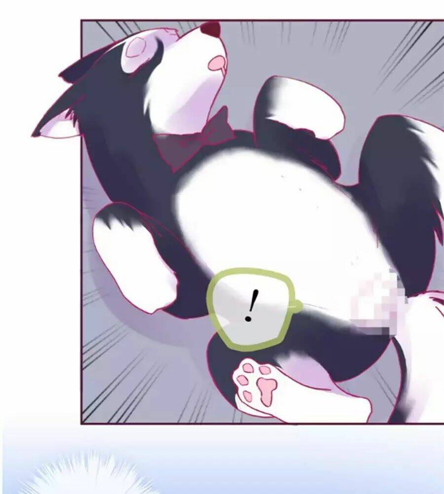 Đừng Nghịch, Ta Chỉ Muốn Yên Tĩnh: Chapter 58