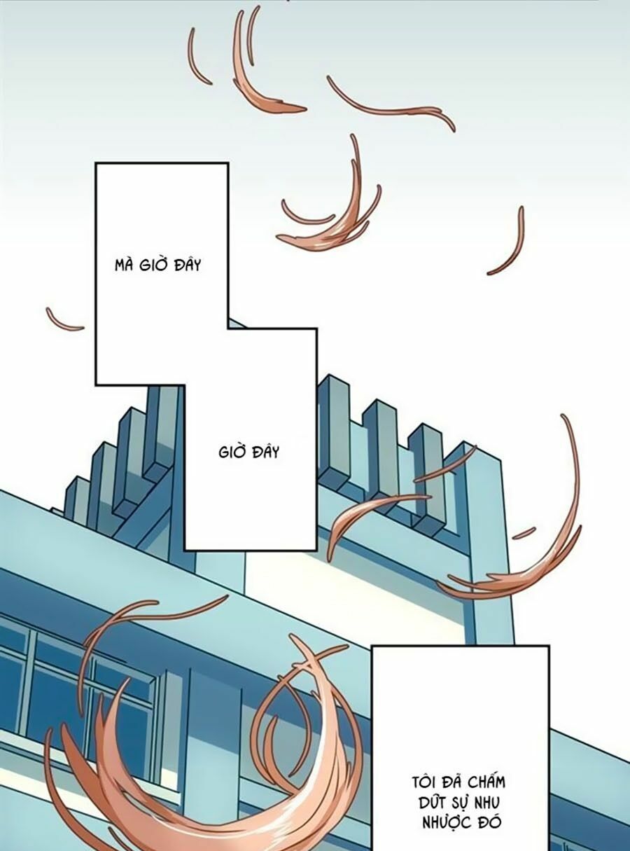 Bài Ca Tình Yêu: Chapter 8