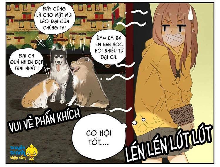 Cứu mạng ! Loài mèo thống trị thế giới rồi !: Chapter 18