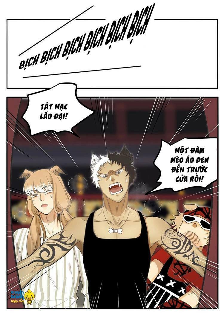 Cứu mạng ! Loài mèo thống trị thế giới rồi !: Chapter 20