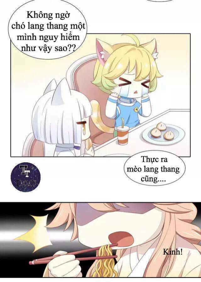 Dưới Móng Vuốt Mèo: Chapter 14
