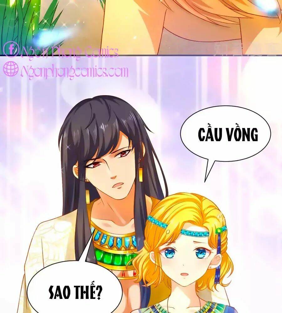 Sủng Hậu Của Vương: Chapter 4