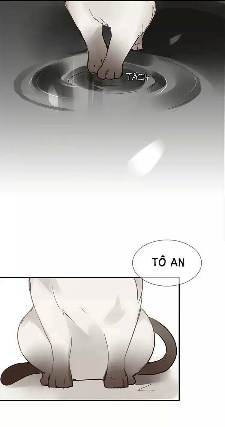 Nghe Thấy Thời Gian Rung Động: Chapter 2