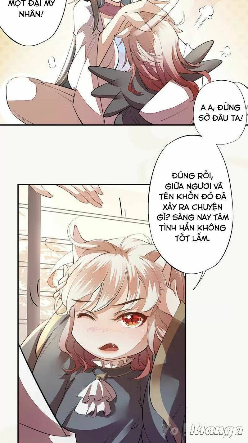 Tuyệt Thế Luyện Đan Sư: Chapter 87