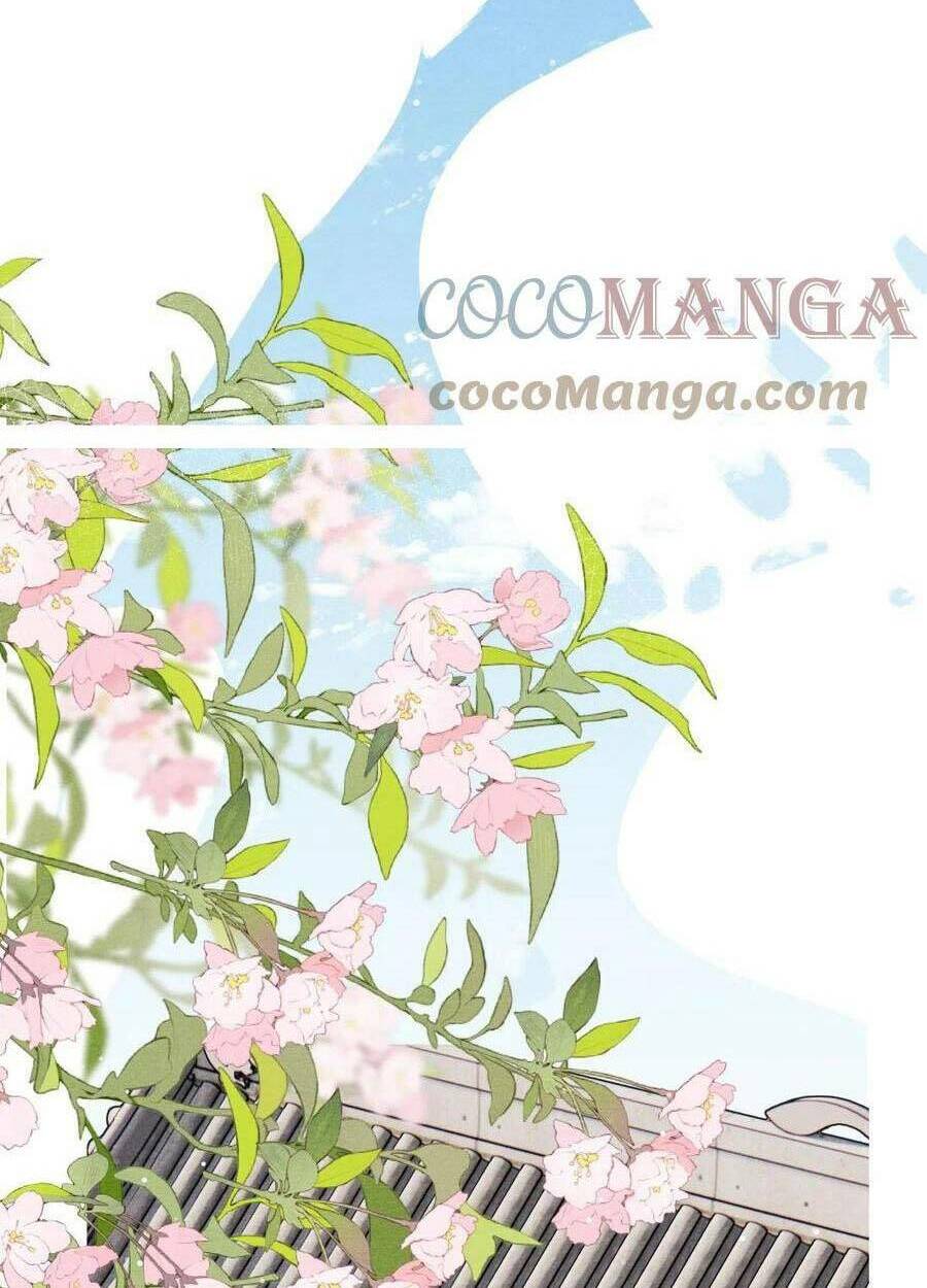 Quân Nhan Tựa Hoa Đào: Chapter 45