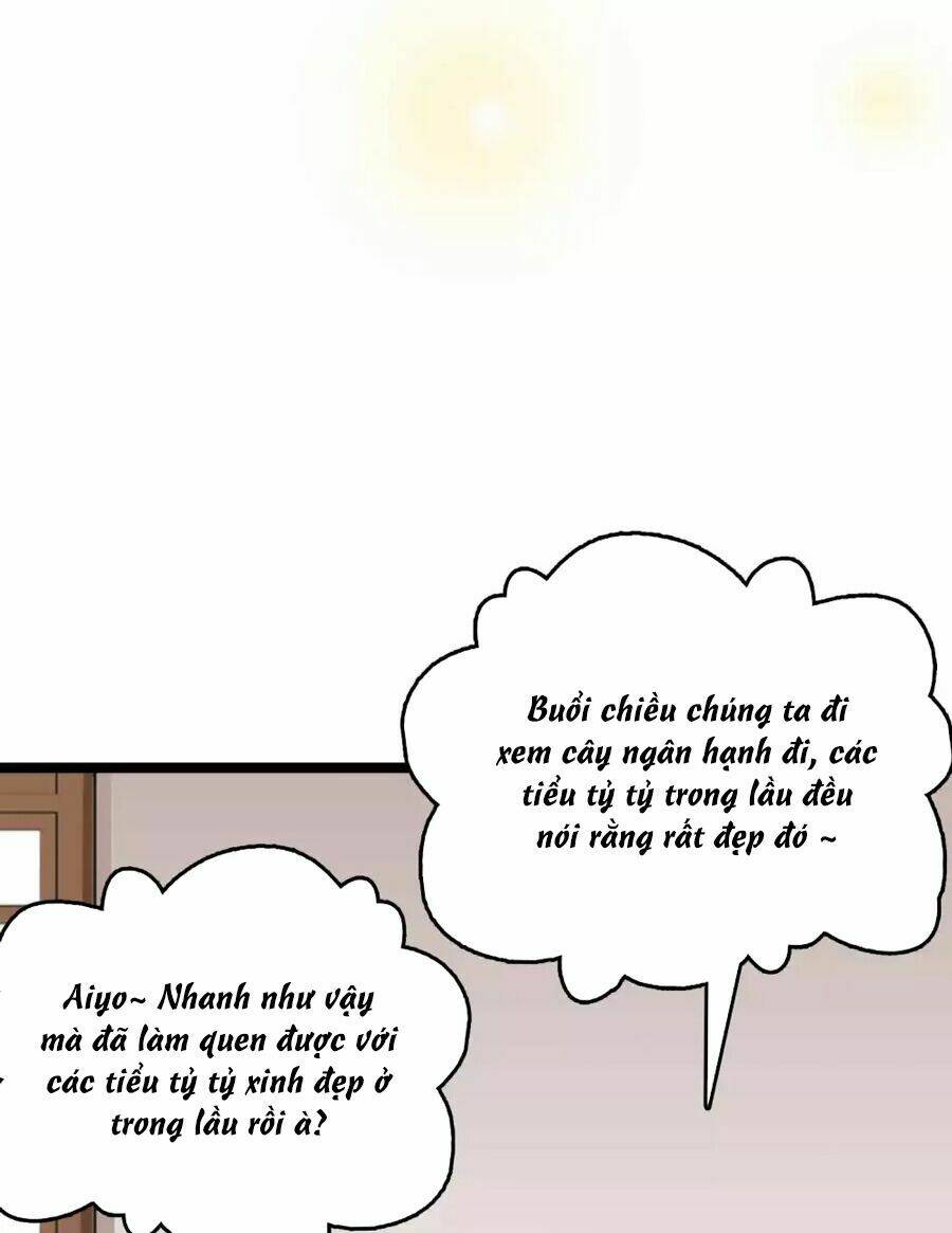 Phú Bà Bạc Tỷ Trong Lãnh Cung: Chapter 51