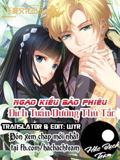Ngạo Kiều Bảo Phiêu Đích Tuần Dưỡng Thủ Tắt: Chapter 4