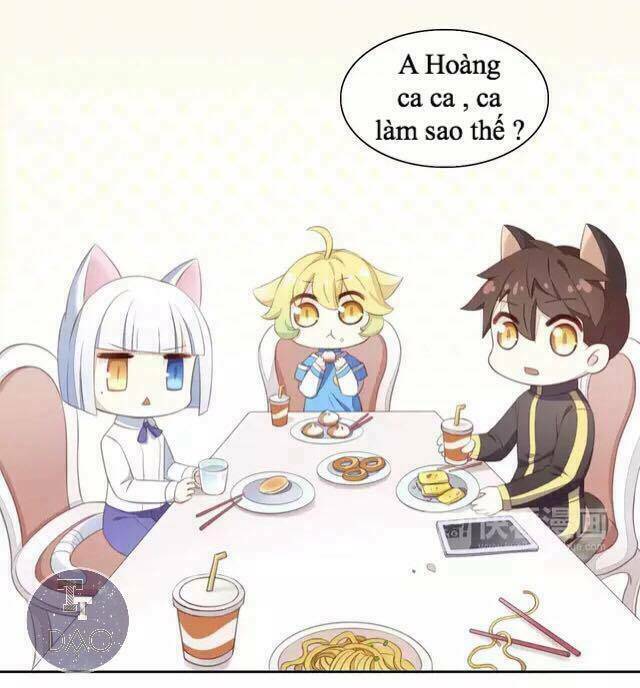 Dưới Móng Vuốt Mèo: Chapter 14