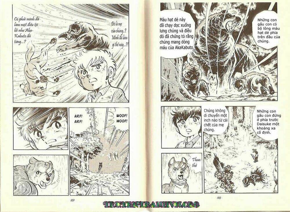 Chú Chó Có Nghĩa - Ginga Nagareboshi Gin: Chapter 8