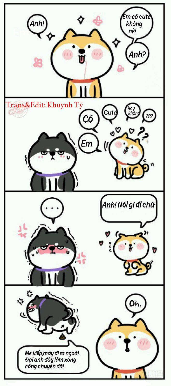 Anh Em Shiba: Chapter 1