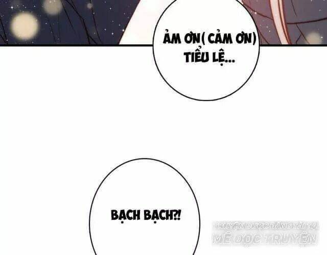 Tinh Diệu Vị Lai: Chapter 11