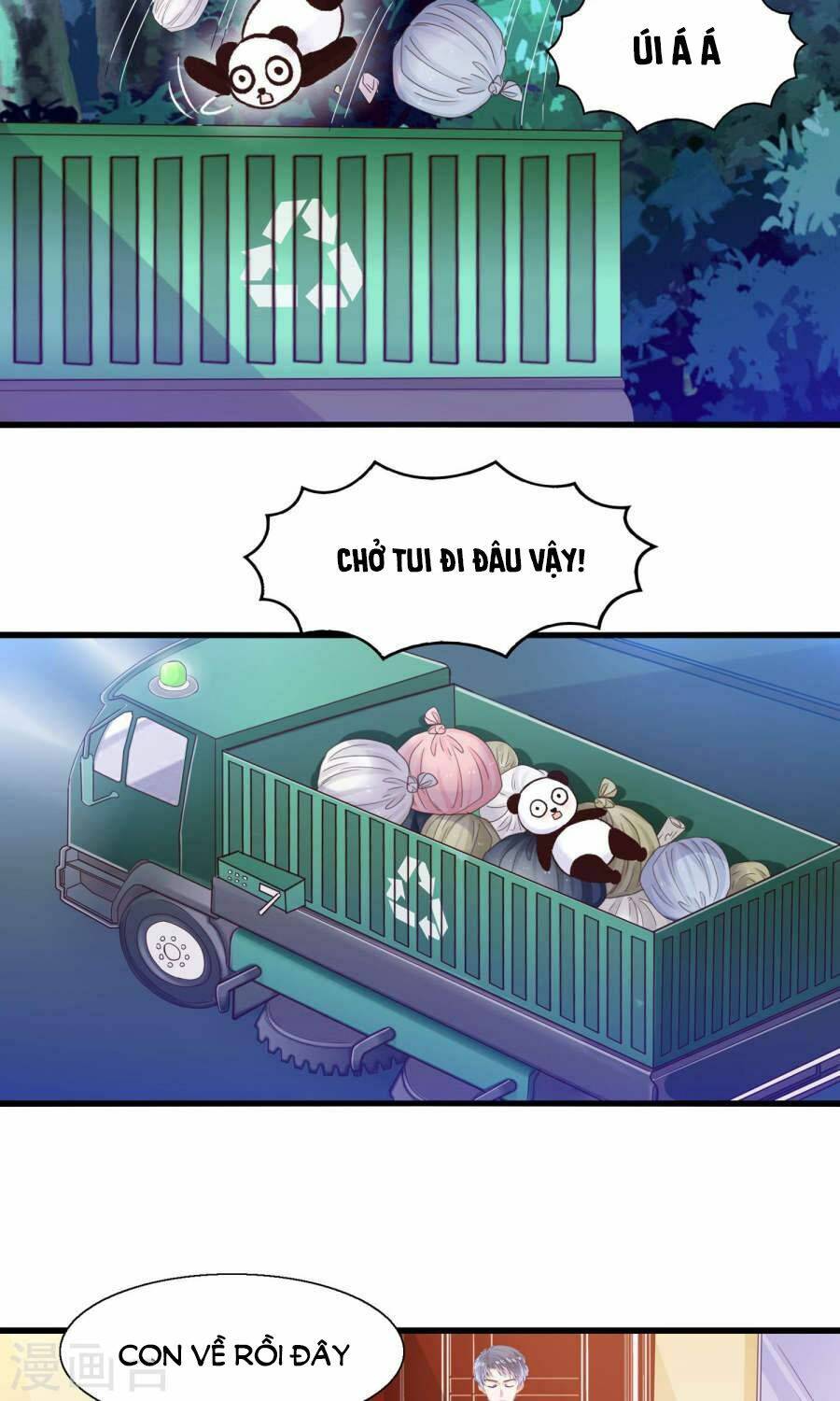 Tôi Bị Gấu Trúc Nhìn Trúng Rồi: Chapter 11