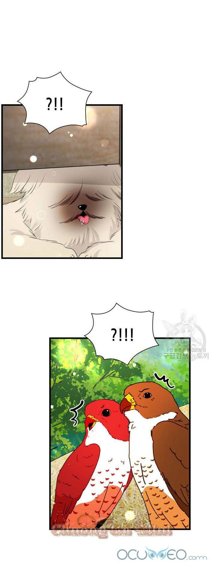 Cô Dâu Của Sói Đen: Chapter 19