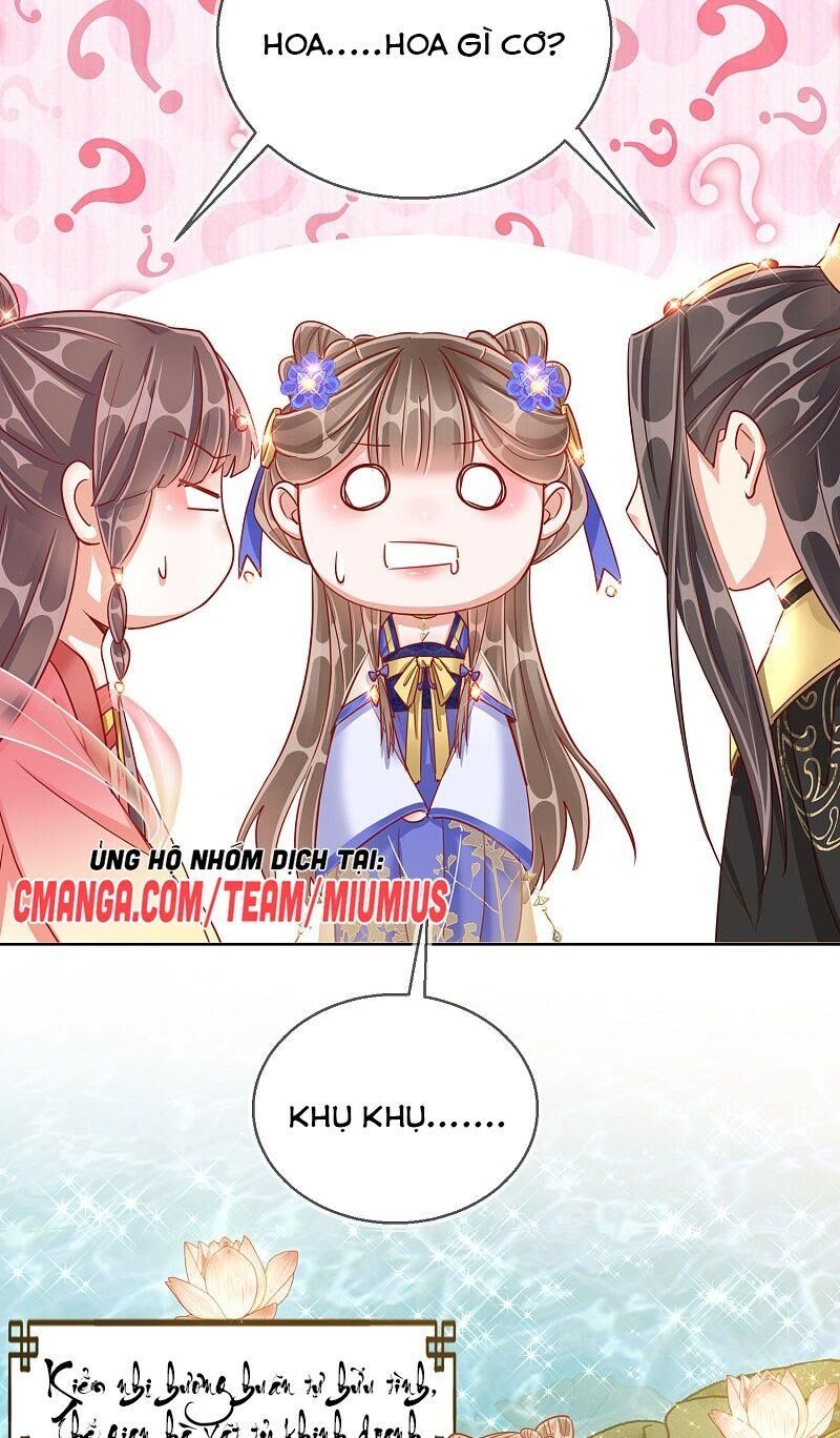 Công Lược Trưởng Thành Của Vương Phi: Chapter 29