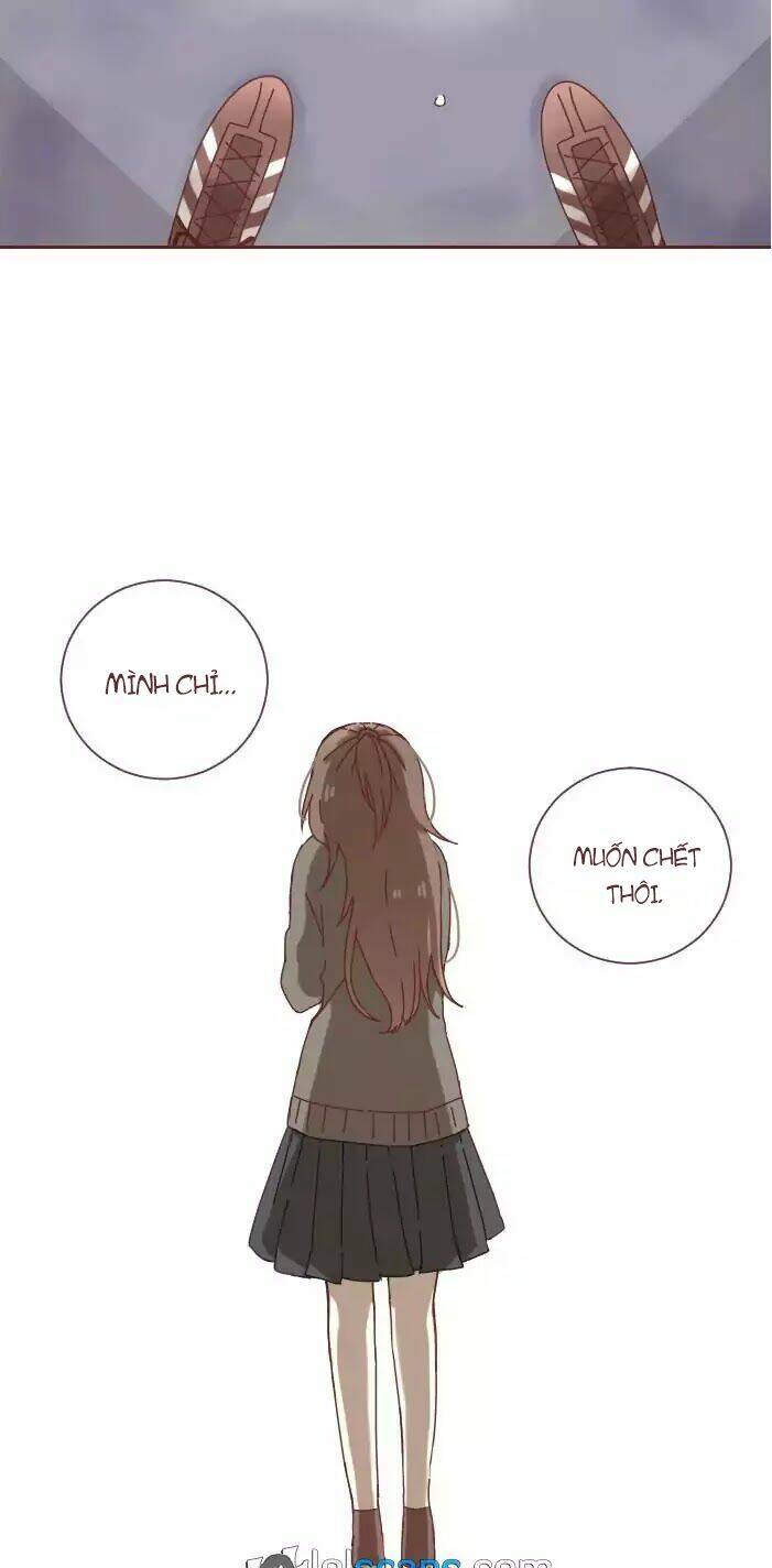 From Nightmare To Love: Chapter 1