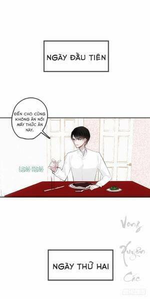 Vết Cắn Và Khế Ước: Chapter 2