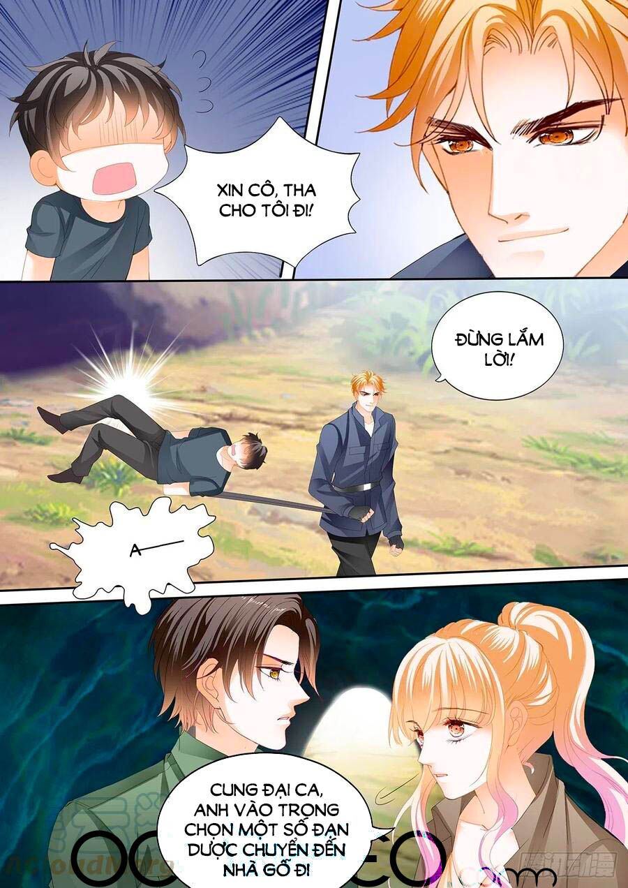 Bá Đạo Tiểu Thúc, Xin Trêu Chọc Vừa Thôi!: Chapter 260