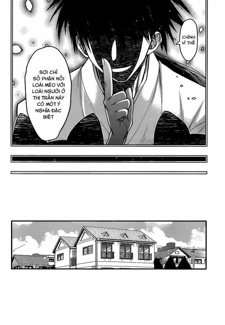 Tamanyan: Chapter 5