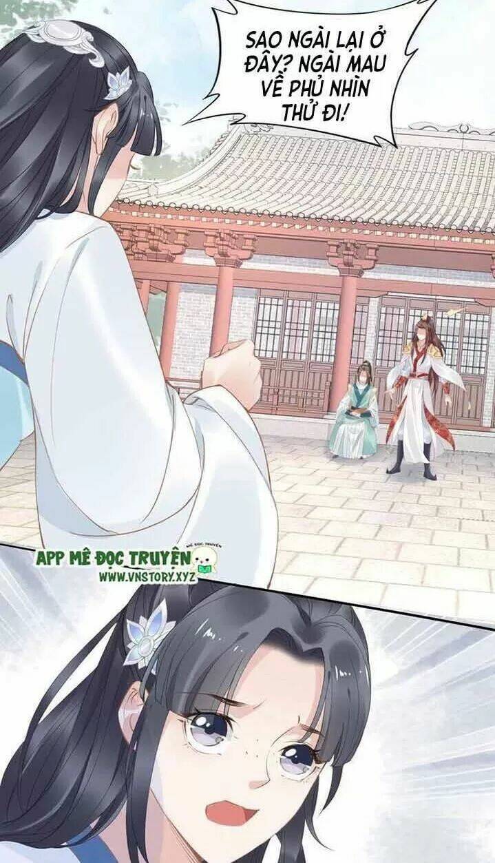 Nhất Sinh Nhất Thế Tiếu Thương Khung: Chapter 41