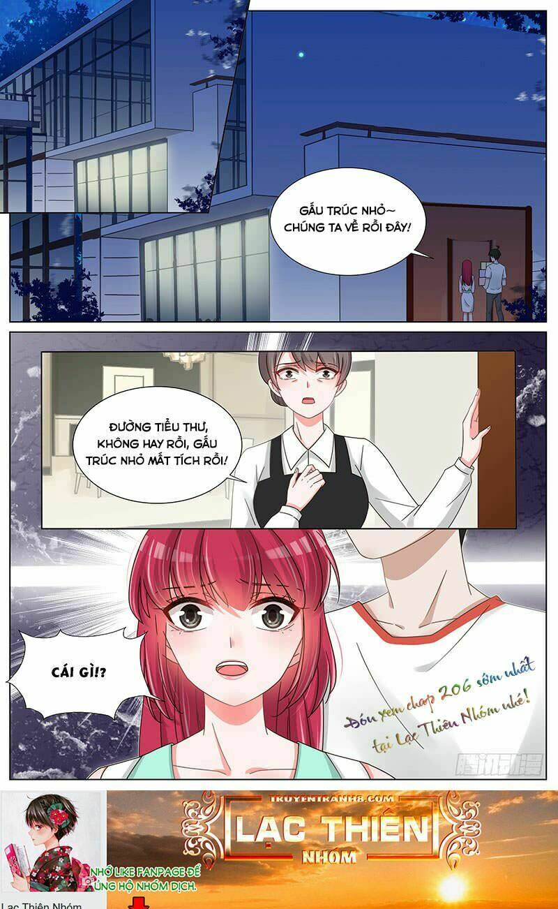 Vương Bài Giáo Thảo: Chapter 205