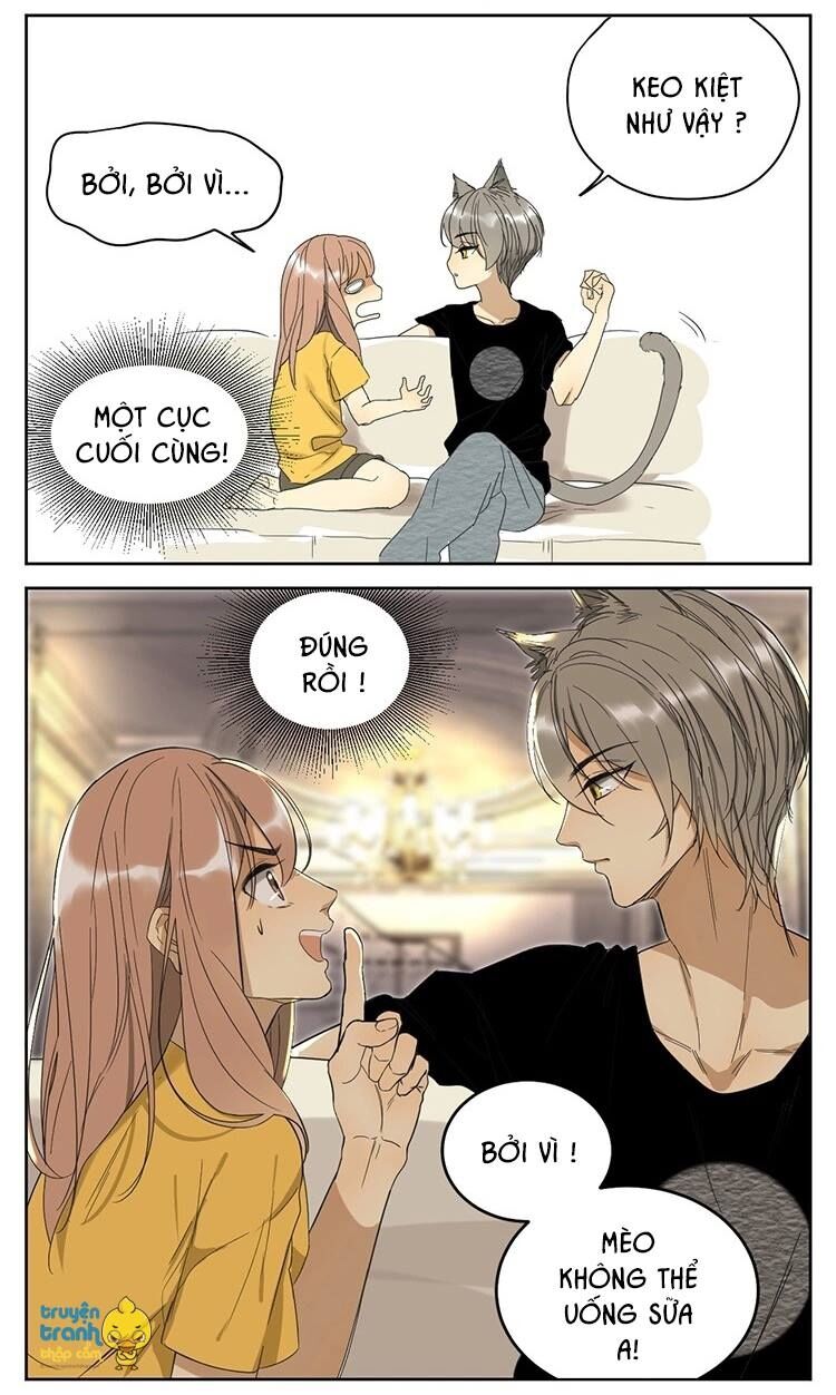 Cứu mạng ! Loài mèo thống trị thế giới rồi !: Chapter 11
