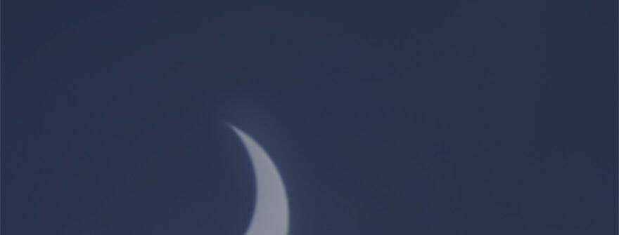 Cửu Hoang Đọa Huyền Sư: Chapter 11