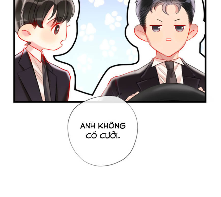 Cô Ấy Thật Xinh Đẹp: Chapter 6.5