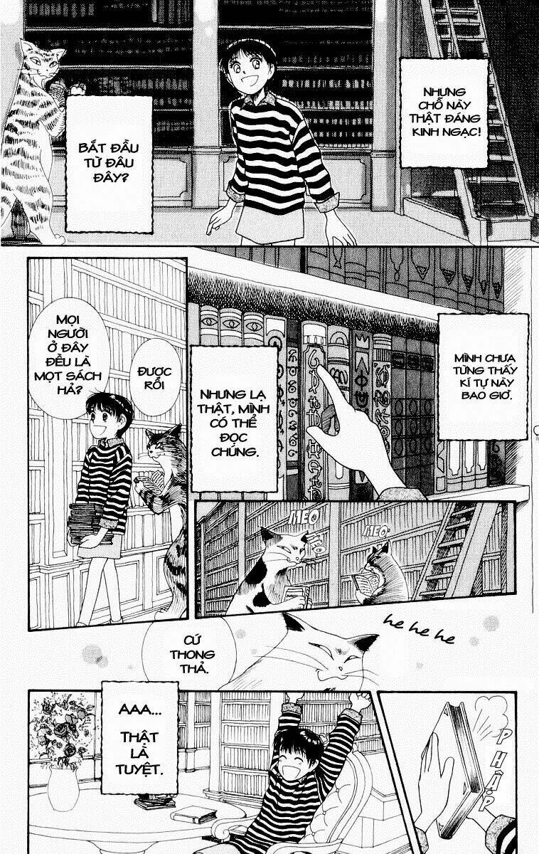 Lời Thì Thầm Từ Trái Tim: Chapter 5