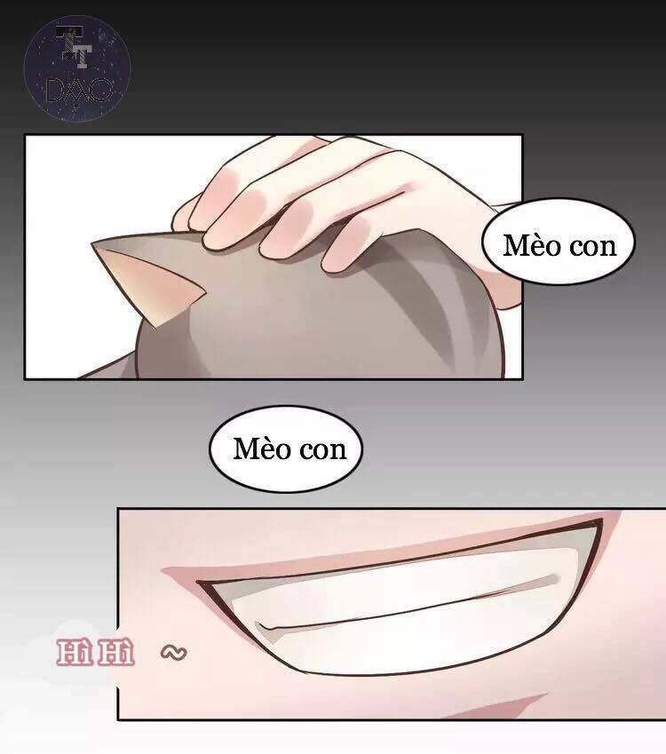 Dưới Móng Vuốt Mèo: Chapter 19