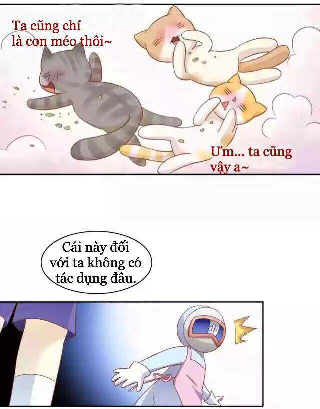 Dưới Móng Vuốt Mèo: Chapter 12