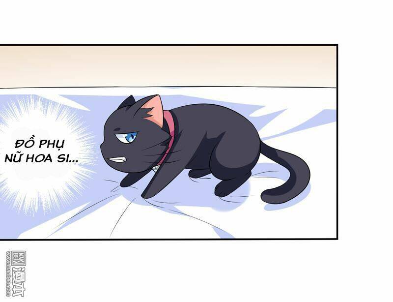 Miêu Vương Tại Thượng: Chapter 6