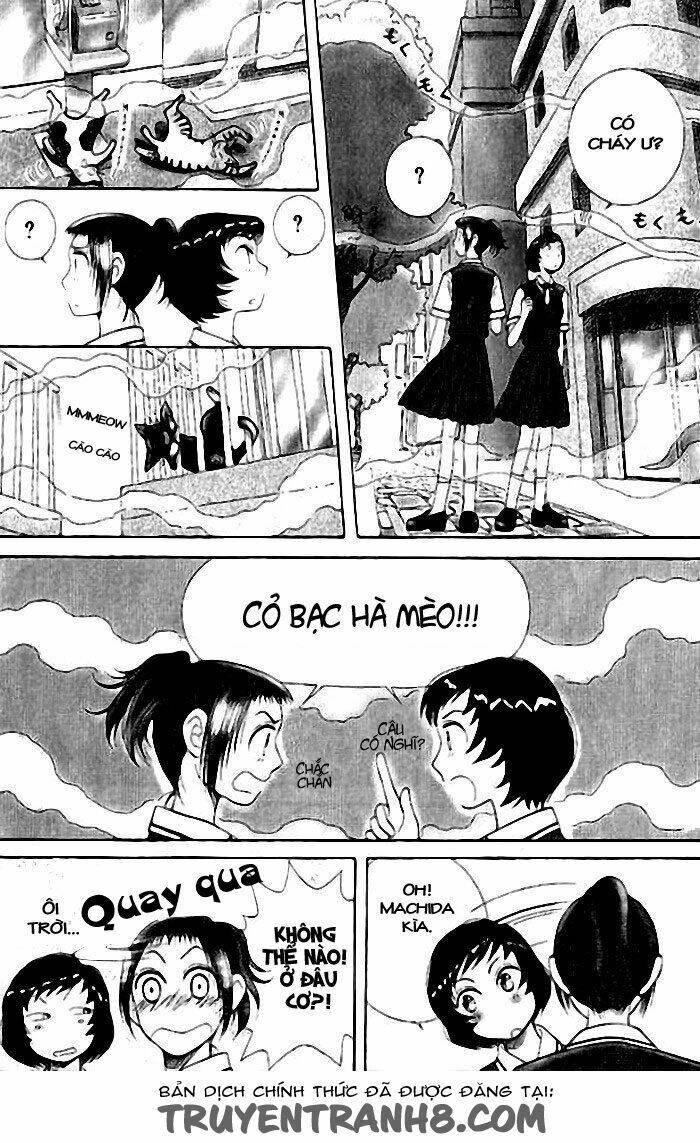 Lời Thì Thầm Từ Trái Tim: Chapter 6