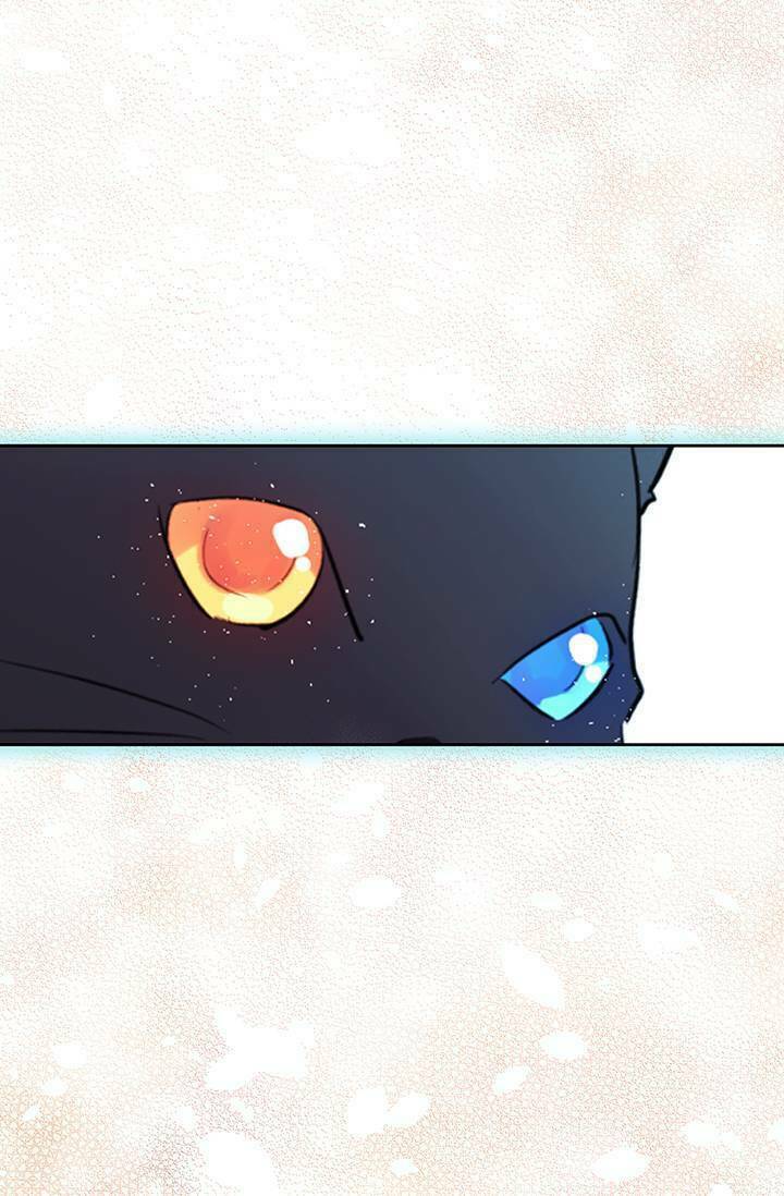 Cô Dâu Của Miêu Hoàng Tử: Chapter 3