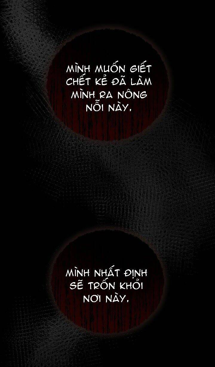 Ba Người Anh Trai Của Tôi Là Bạo Quân: Chapter 23