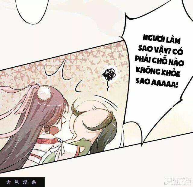 Tuyệt Thế Luyện Đan Sư: Chapter 25