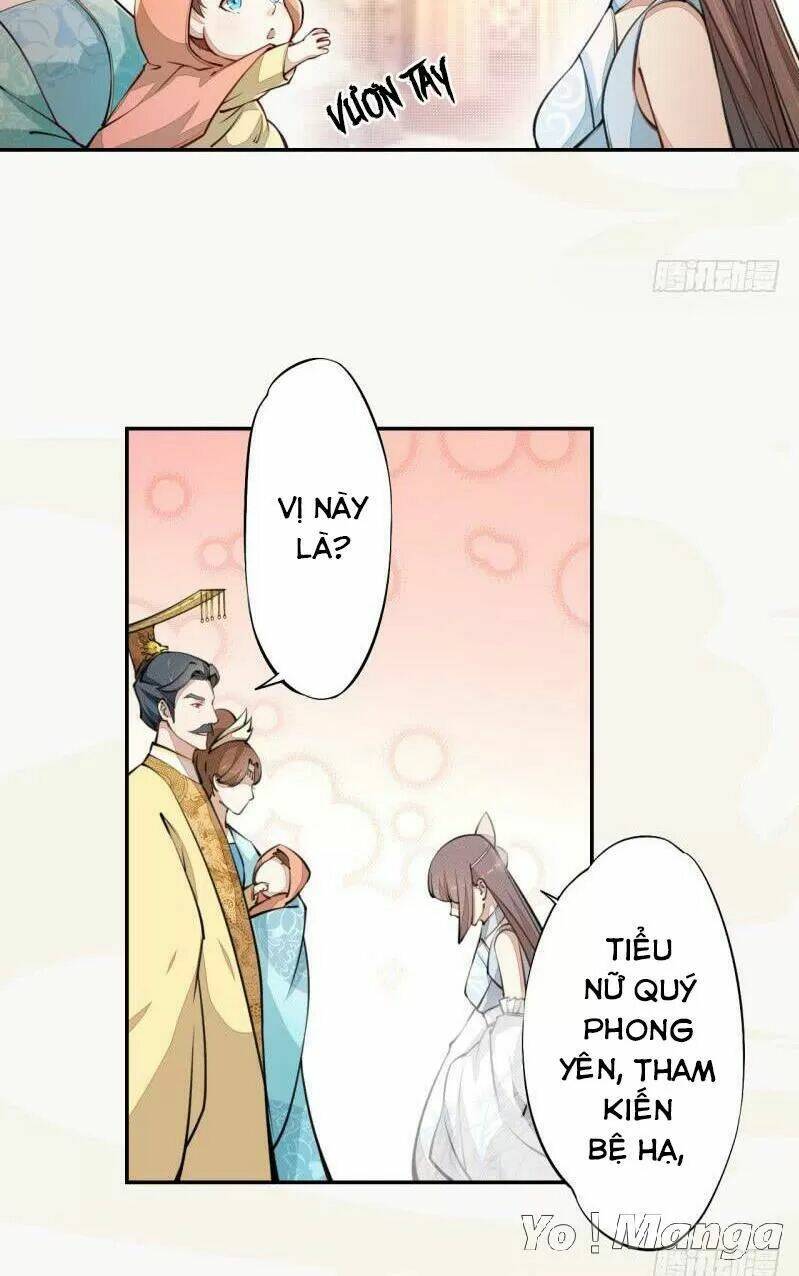 Tuyệt Thế Luyện Đan Sư: Chapter 41