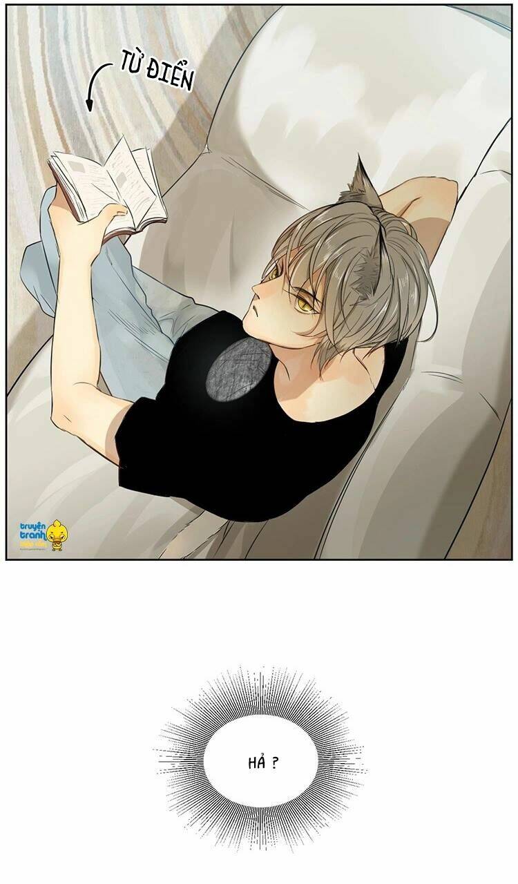 Cứu Mạng! Loài Mèo Thống Trị Thế Giới Rồi!: Chapter 10